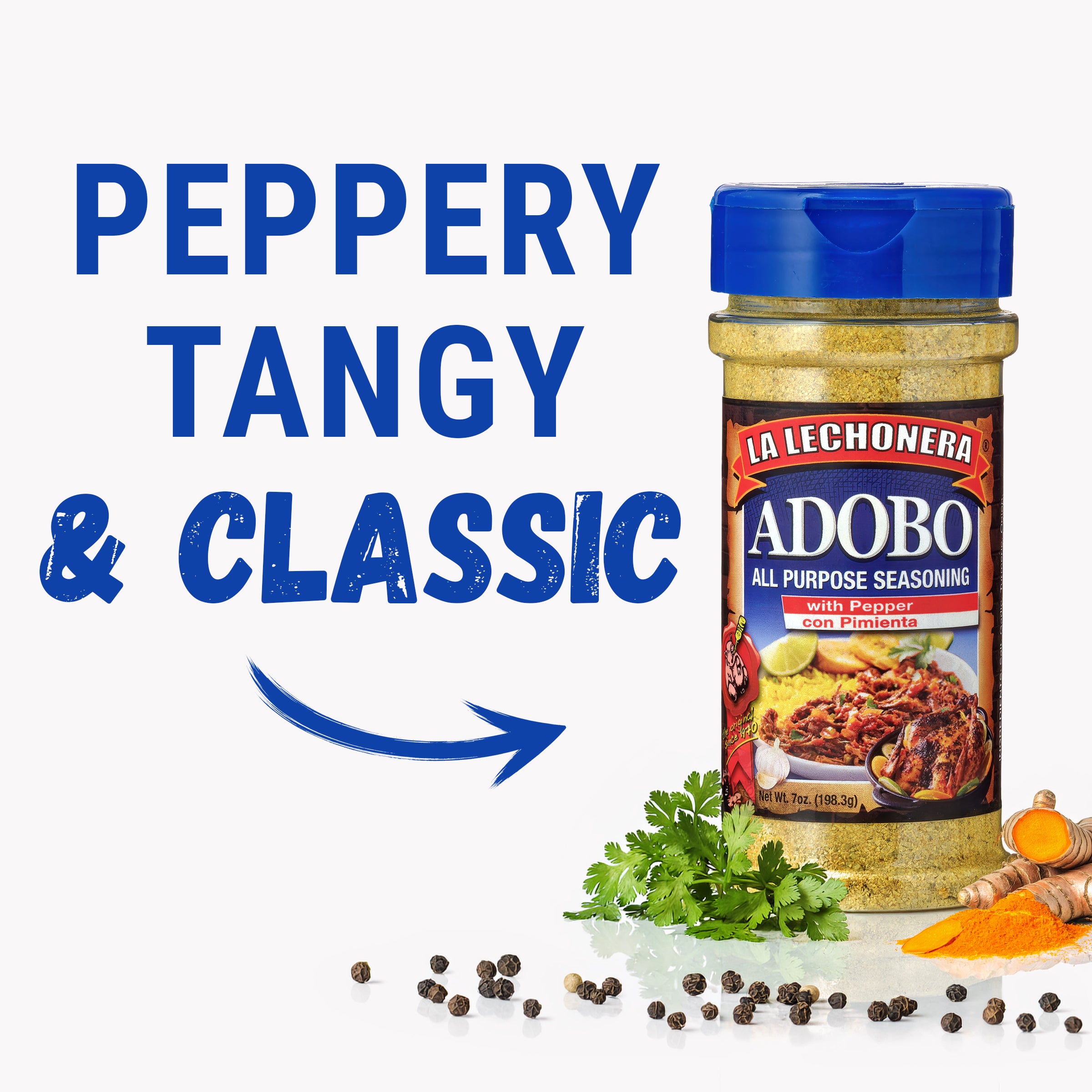 Adobo Seasoning